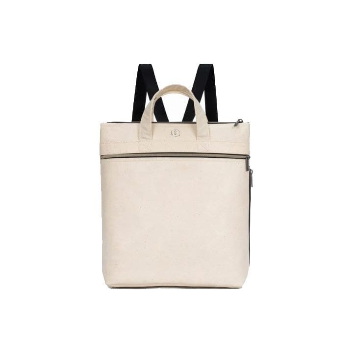 Momentum Backpack